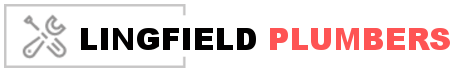 Plumbers Lingfield logo